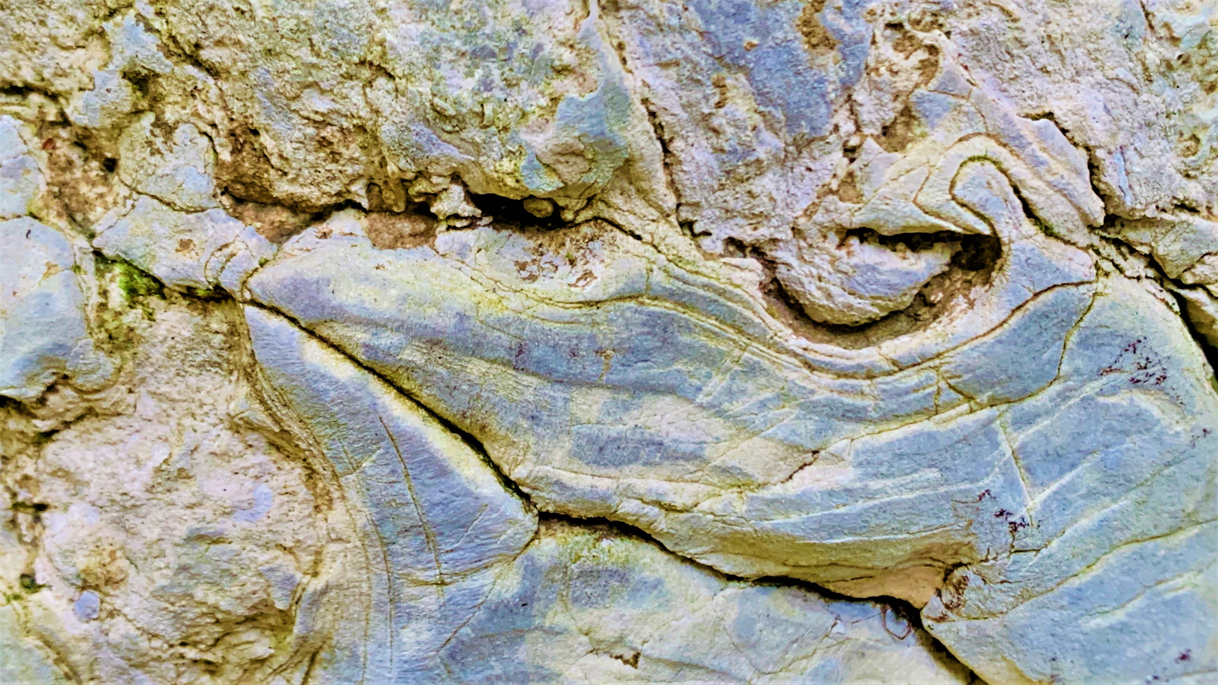 STONE 9